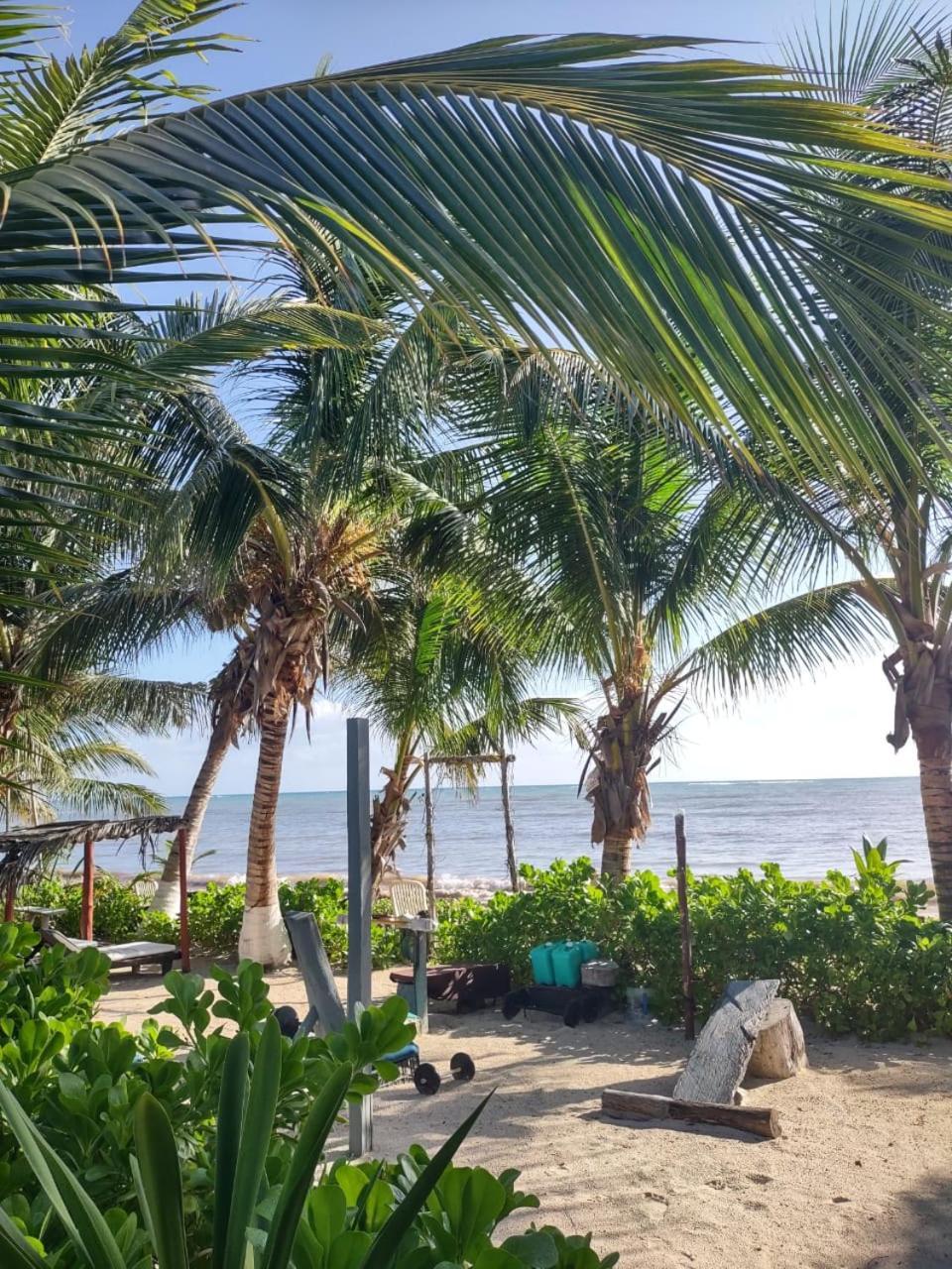 Lunazul Eco-Cabana Frente Al Mar Mahahual Exterior photo