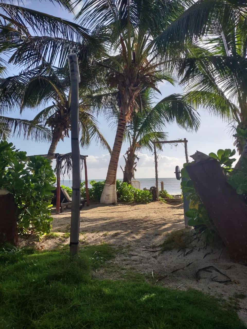 Lunazul Eco-Cabana Frente Al Mar Mahahual Exterior photo